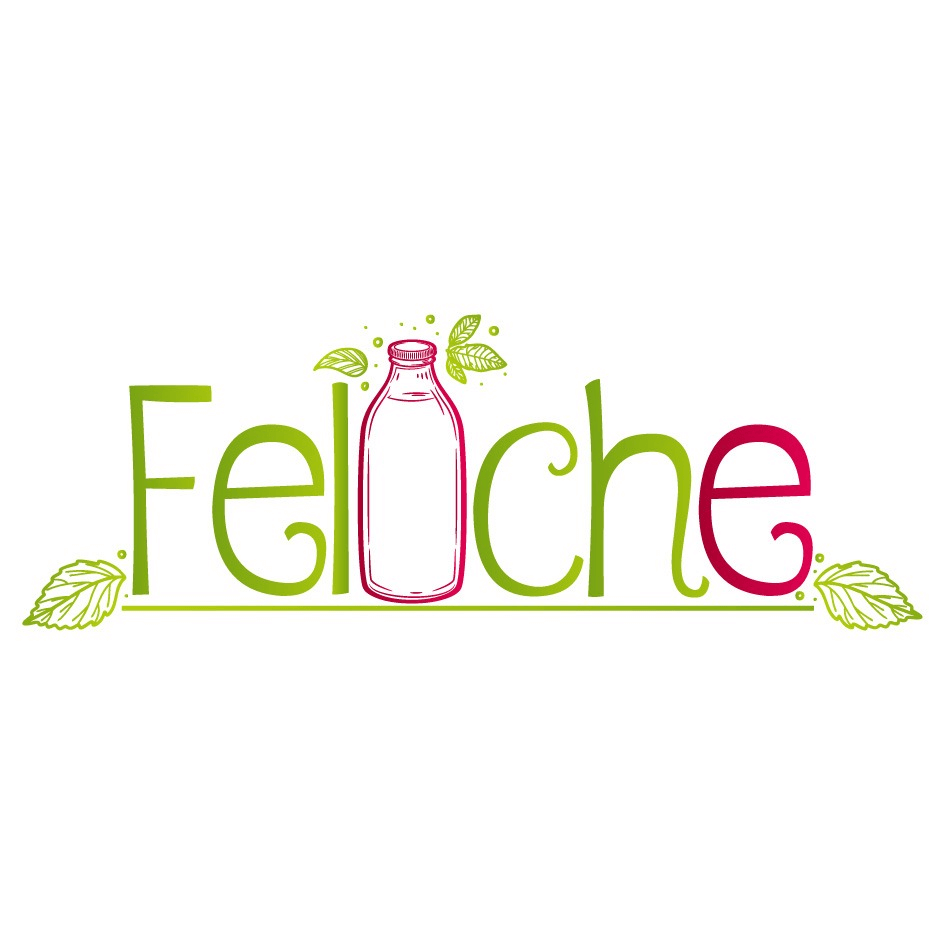 logo de lacteos feliche